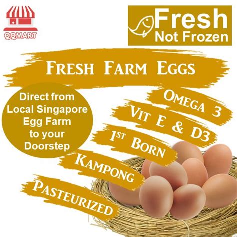 egg singapore sem company|Contact Us .